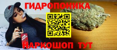 гашик Краснодар