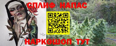 гашик Краснодар