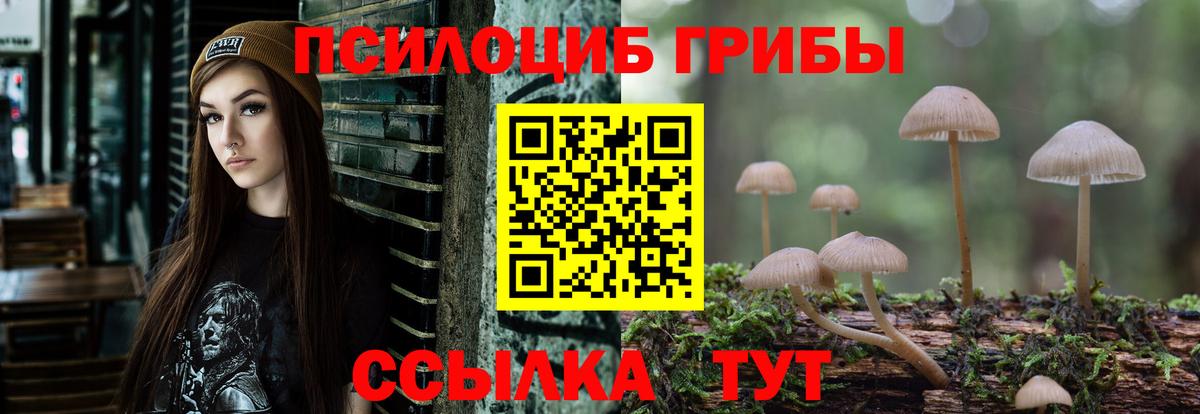 Псилоцибиновые грибы MAGIC MUSHROOMS  Вход с VPN  Каспийск 